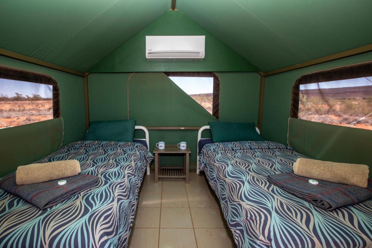 Kings Creek Station Villa Petermann Bagian luar foto